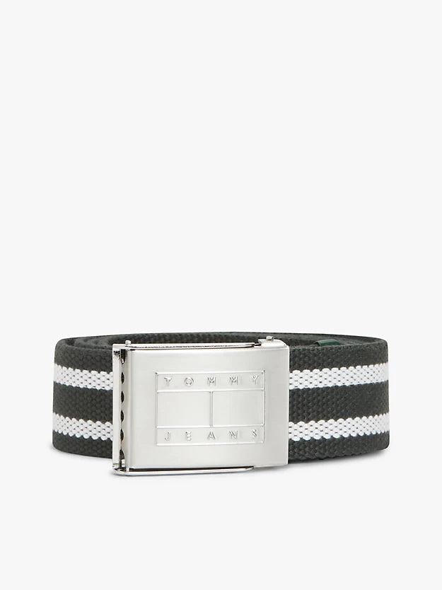 Ryan Stripe Webbing Belt